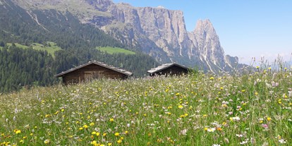 suche - Völs am Schlern - Trentino-Südtirol - Apparthotel Eden