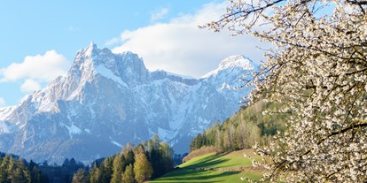 suche - Terrasse - Trentino-Südtirol - Ausblick im Frühling - Paalhof - Urlaub auf dem Bauernhof
