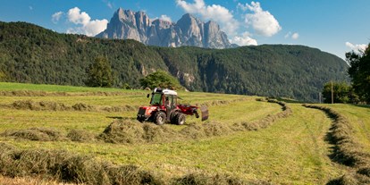 suche - Geschirrspülmaschine - Italien - Bei der Heuernte - Paalhof - Urlaub auf dem Bauernhof