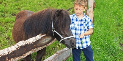suche - Garten - Italien - Unser Pony Maya - Kienzlhof