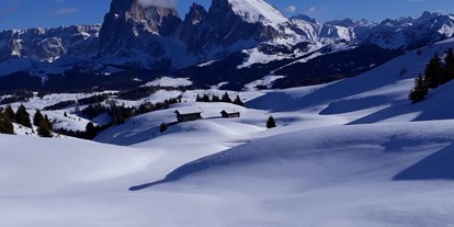 suche - Kastelruth - Trentino-Südtirol - Die Seiser Alm im Winter - Kienzlhof
