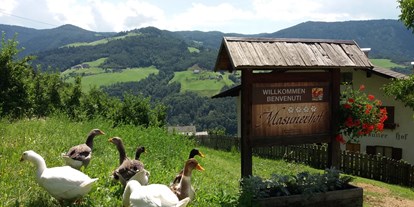 suche - Außenpool - Trentino-Südtirol - Gänse - Ferienbauernhof Masunerhof