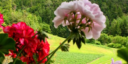 suche - Kategorie Urlaub auf dem Bauernhof: 2 Blumen - Italien - Aussicht auf unseren Hausberg, den Schlern - Pardellerhof