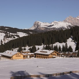 Unterkunft: Winter - Tirler - Dolomites Living Hotel