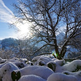 Unterkunft: Winterbild vom Balkon - Sonnenresidenz Malfertheinerhof