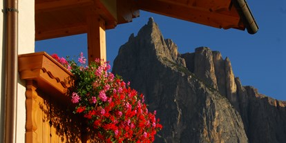 suche - Kategorie Urlaub auf dem Bauernhof: 3 Blumen - Trentino-Südtirol - Atemberaubender Balkonblick Wohnung Lilie und Veilchen - Singerhof - Urlaub auf dem Bauernhof