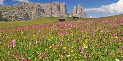 suche - Allergikerzimmer - Trentino-Südtirol - Fill Matthias