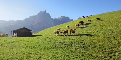 suche - Kategorie Urlaub auf dem Bauernhof: 3 Blumen - Trentino-Südtirol - Bauernhof Parnoa