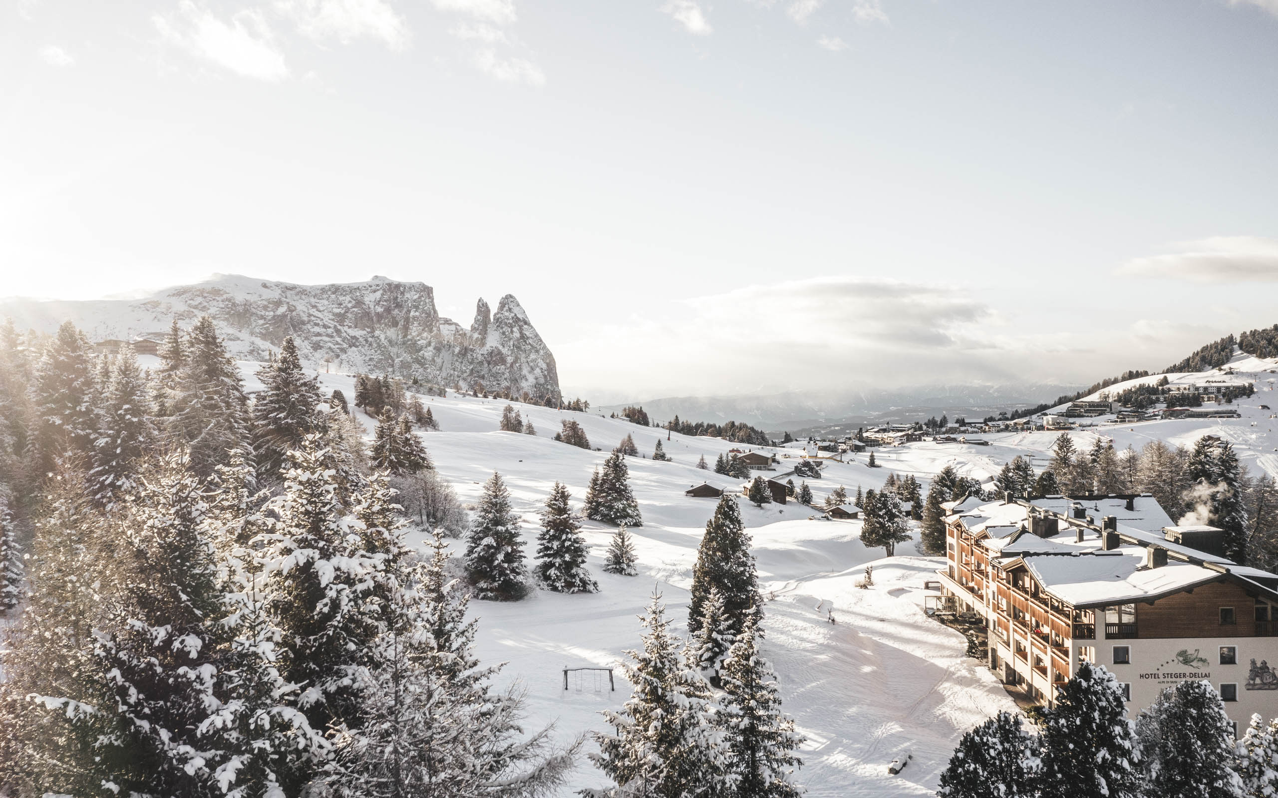 suche: Hotel Steger Dellai