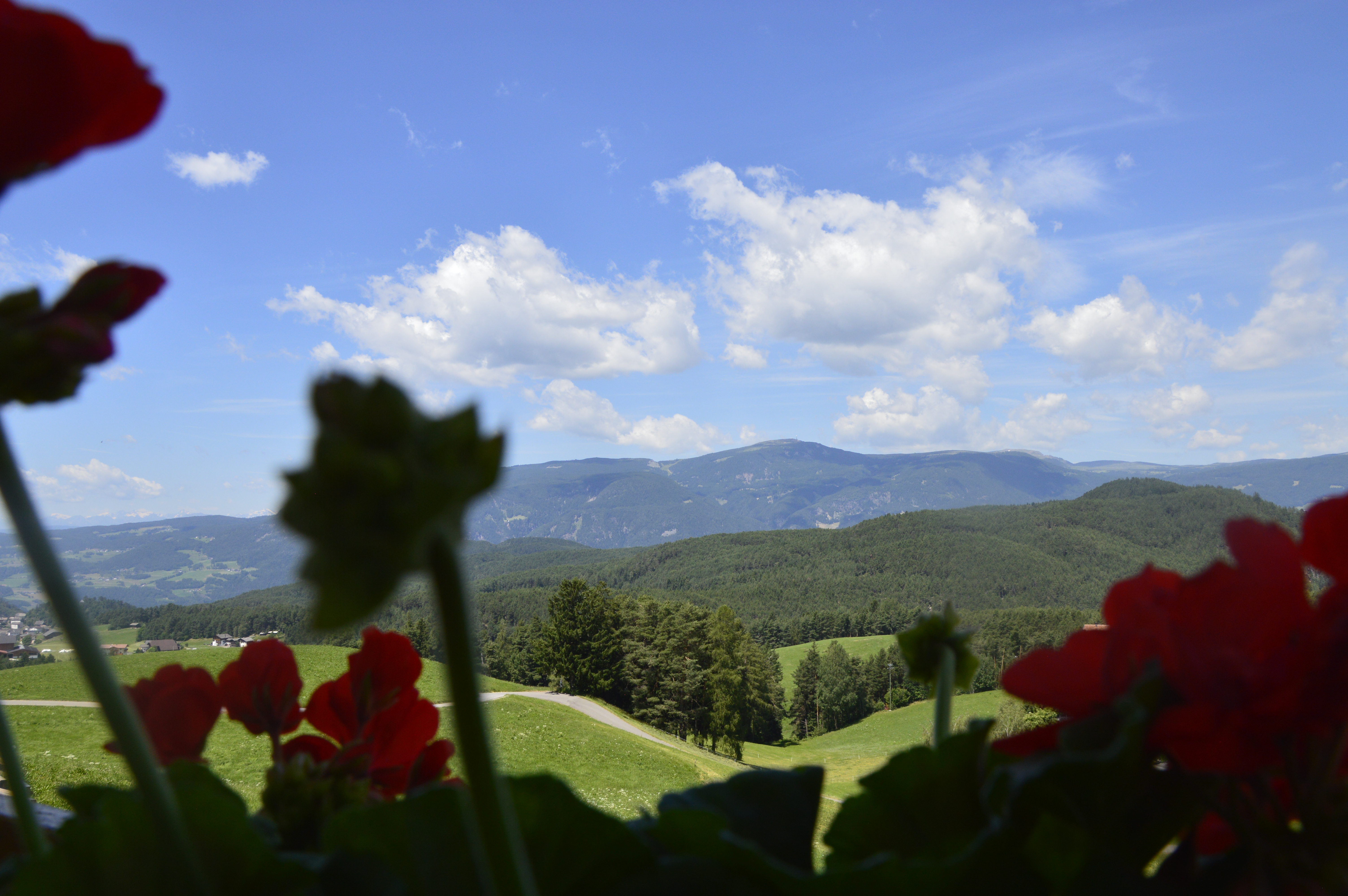 suche - Haus Dorfblick