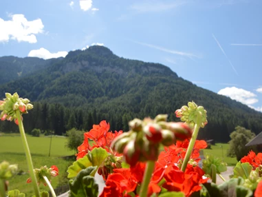 Unterkunft: Haus Dorfblick