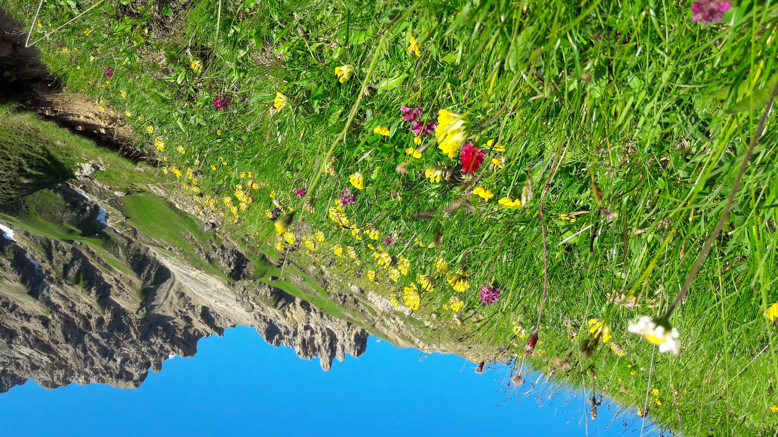 Unterkunft: Apparthotel Eden
