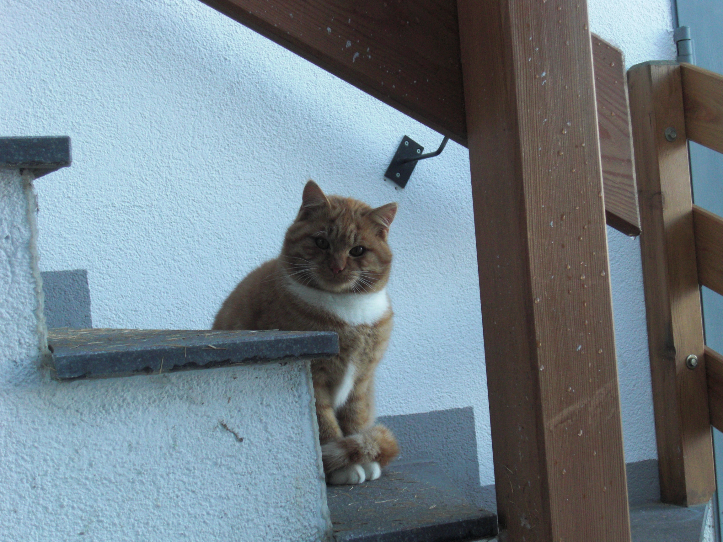 Unterkunft: Unterstandroahof