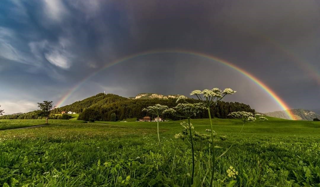 Unterkunft: Unterstandroahof