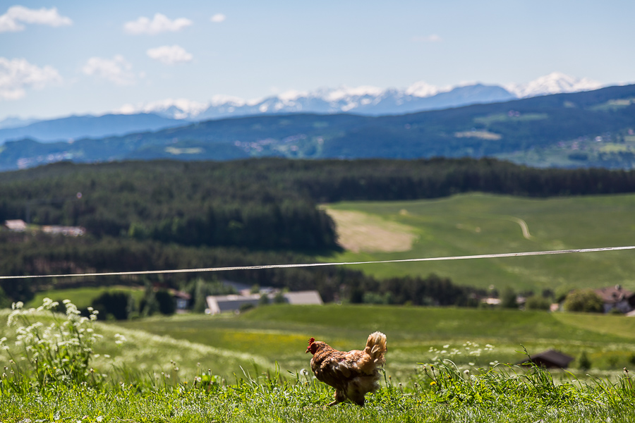Unterkunft: Unterstandroahof