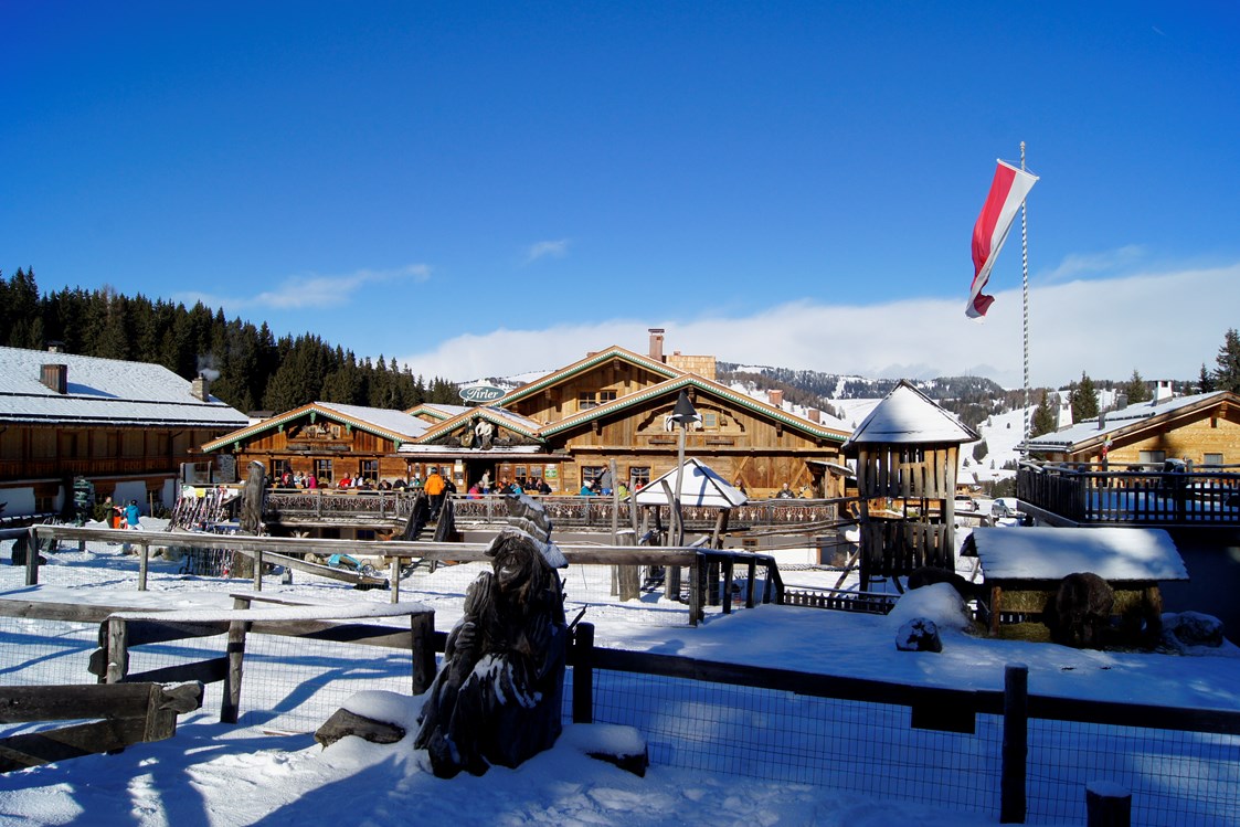 Unterkunft: Winter - Restaurant - Tirler - Dolomites Living Hotel