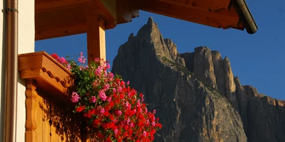 suche - 2 oder mehr Bäder - Trentino-Südtirol - Atemberaubender Balkonblick Wohnung Lilie und Veilchen - Singerhof - Urlaub auf dem Bauernhof