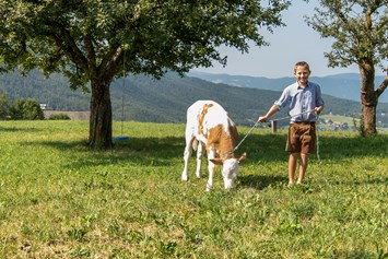 Unterkunft: Simon und sein Kälbchen - Singerhof - Urlaub auf dem Bauernhof