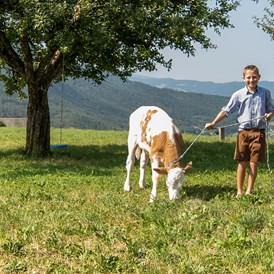 Unterkunft: Simon und sein Kälbchen - Singerhof - Urlaub auf dem Bauernhof