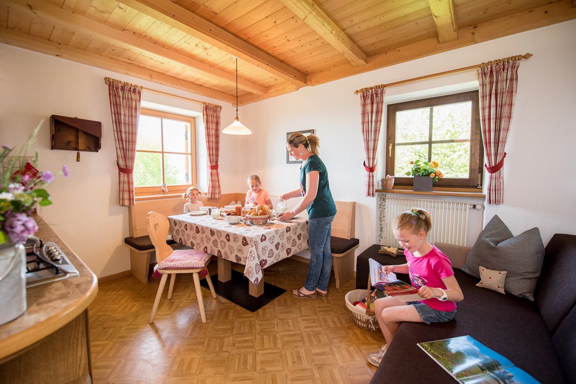 Unterkunft: Wohnküche Lilie - Singerhof - Urlaub auf dem Bauernhof