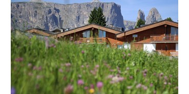 TV-Sat - Alpe di Siusi - 5 Ferienwohungen in sonniger Lage mit direktem Blick auf den Schlern. - Obexer Paul