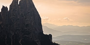 Vollpension - Trentino-Südtirol - Fill Matthias