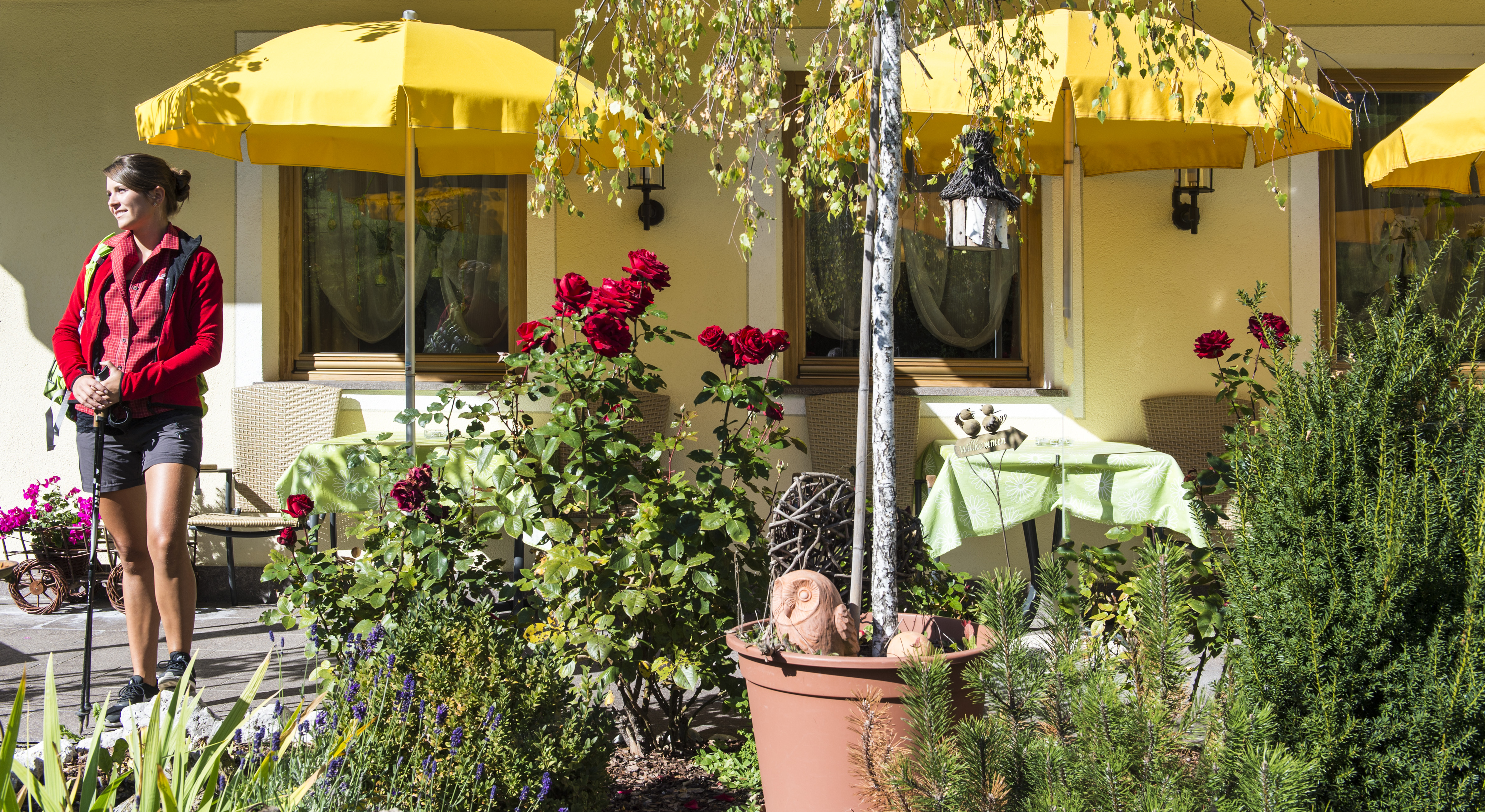 suche - Geführte Radtouren - Trentino-Südtirol - Panoramahotel Baumwirt