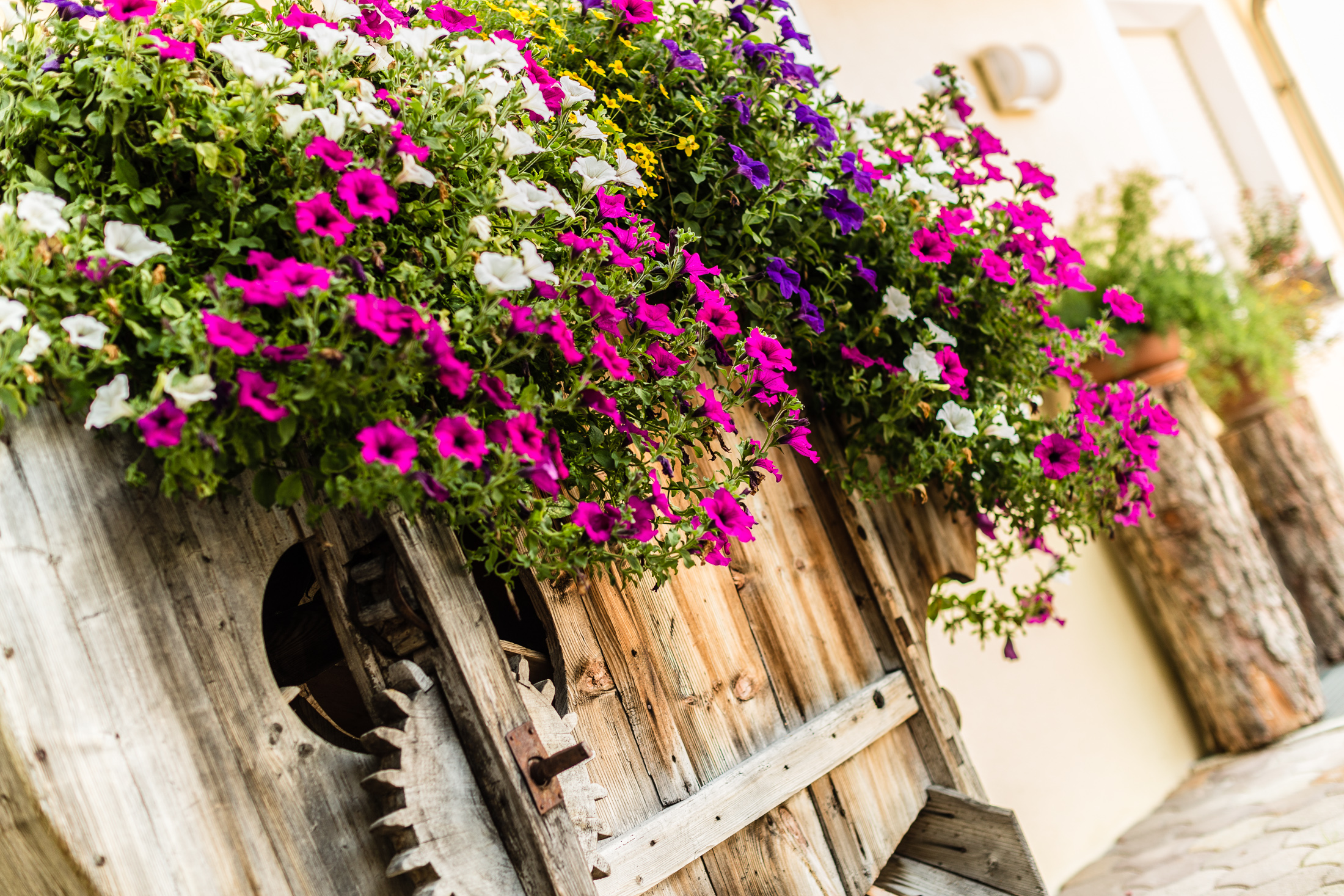 Unterkunft: Panoramahotel Baumwirt