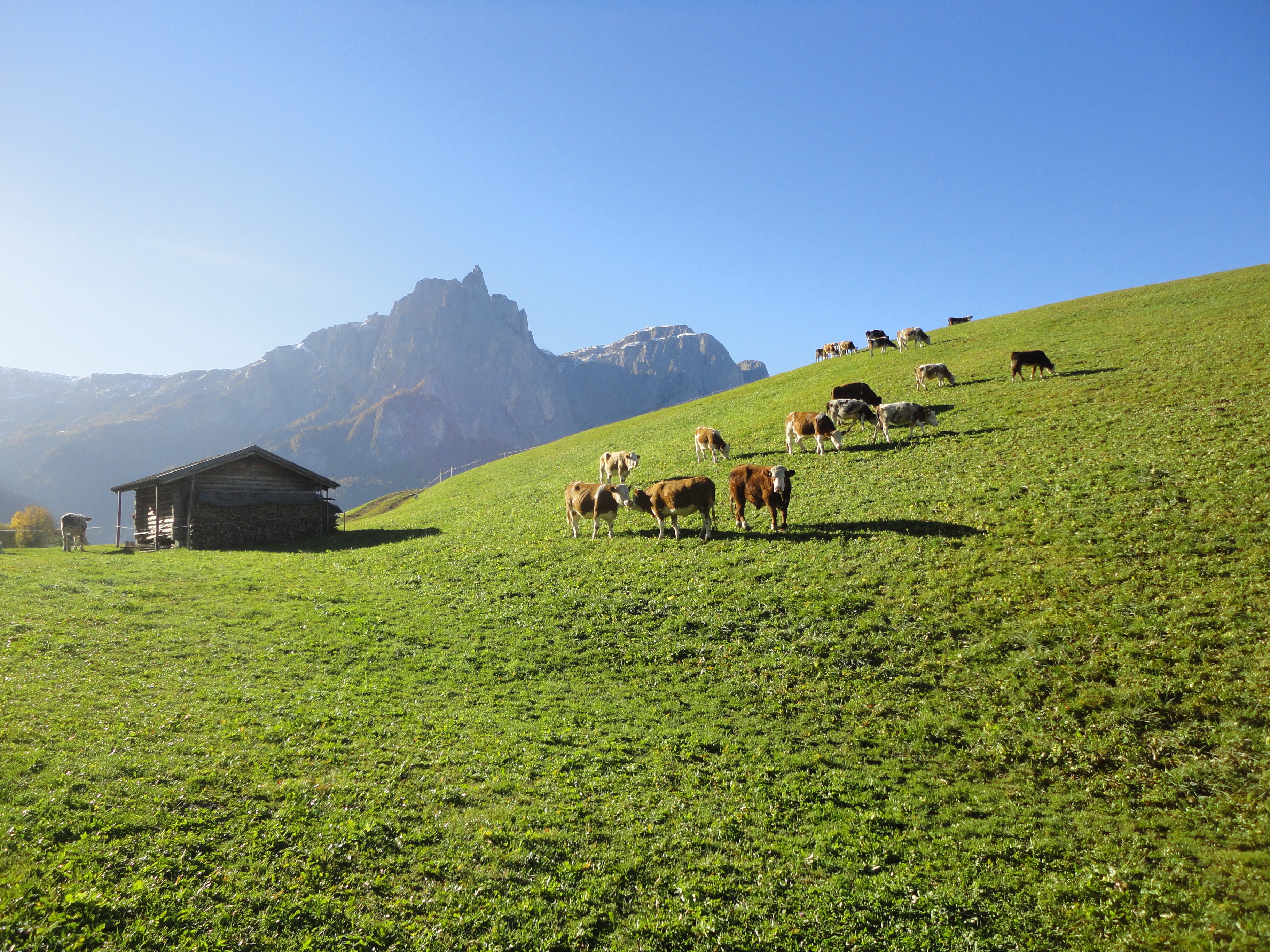 Unterkunft: Bauernhof Parnoa