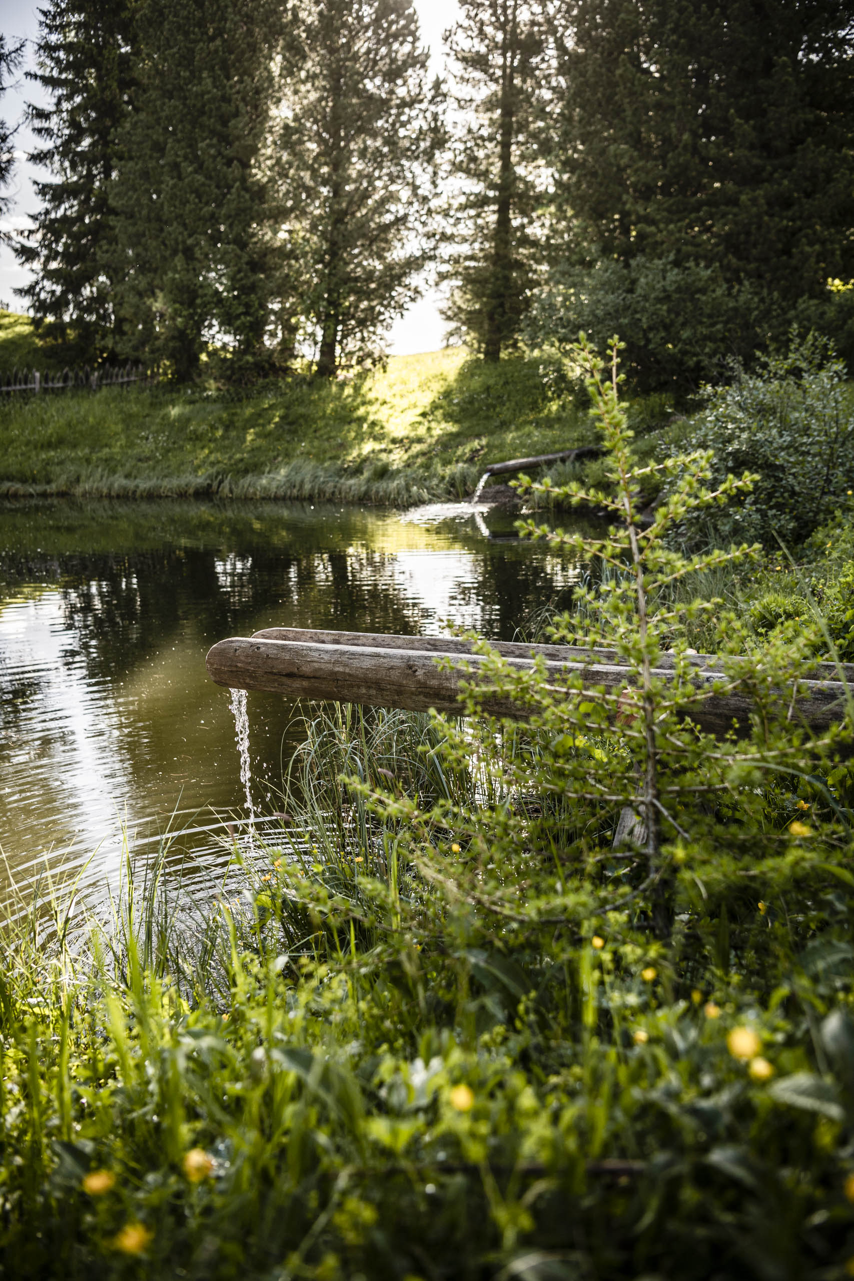 Unterkunft: Hotel Steger Dellai