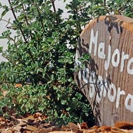 Unterkunft: Der Kräutergarten zum Abschmecken Ihrer Speisen - Kienzlhof
