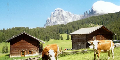 suche - An der Skipiste/Seilbahn - Italien - Almhütte Malider Schwaige - Maliderschwaige
