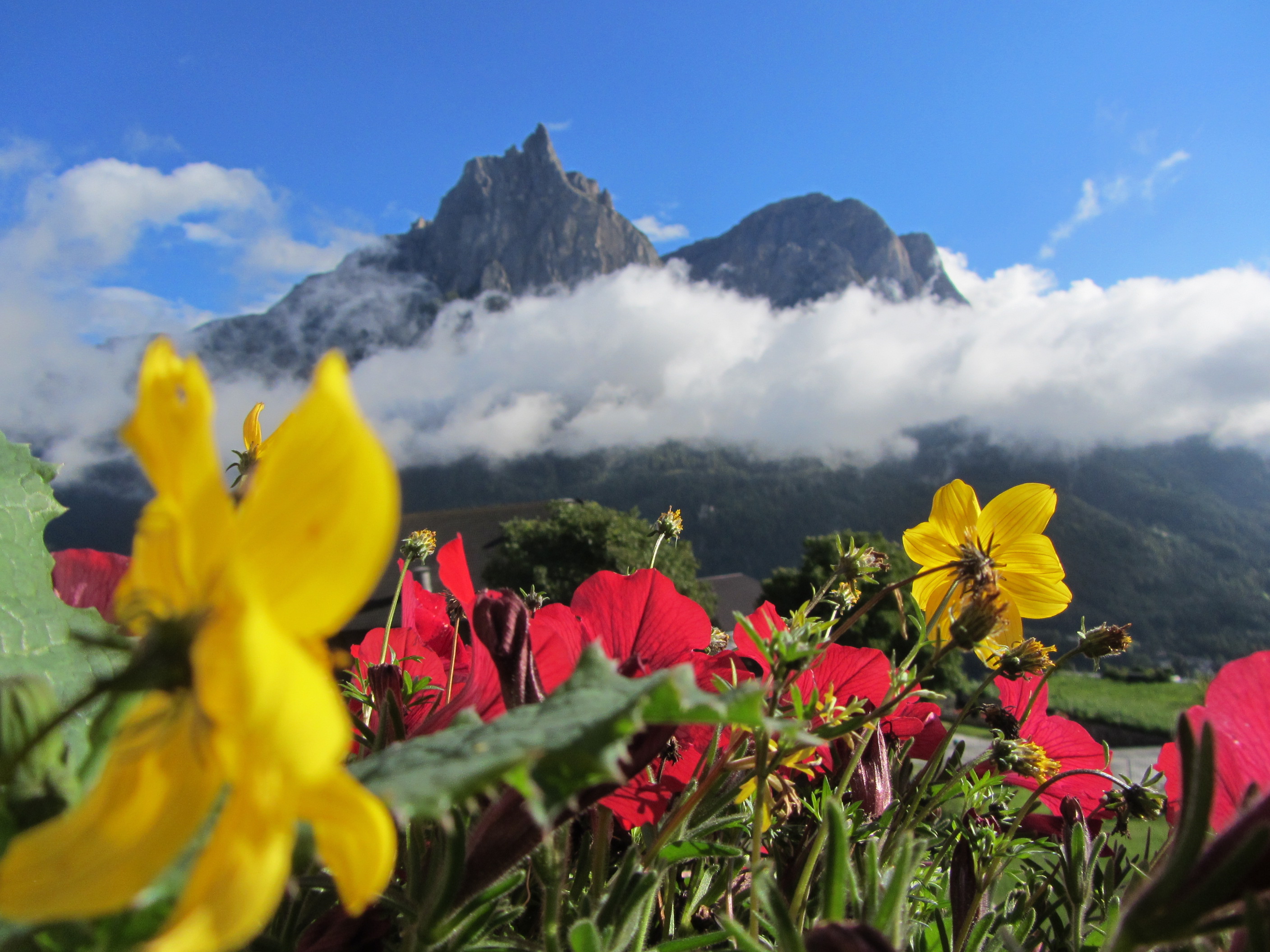 Unterkunft: Schildberghof