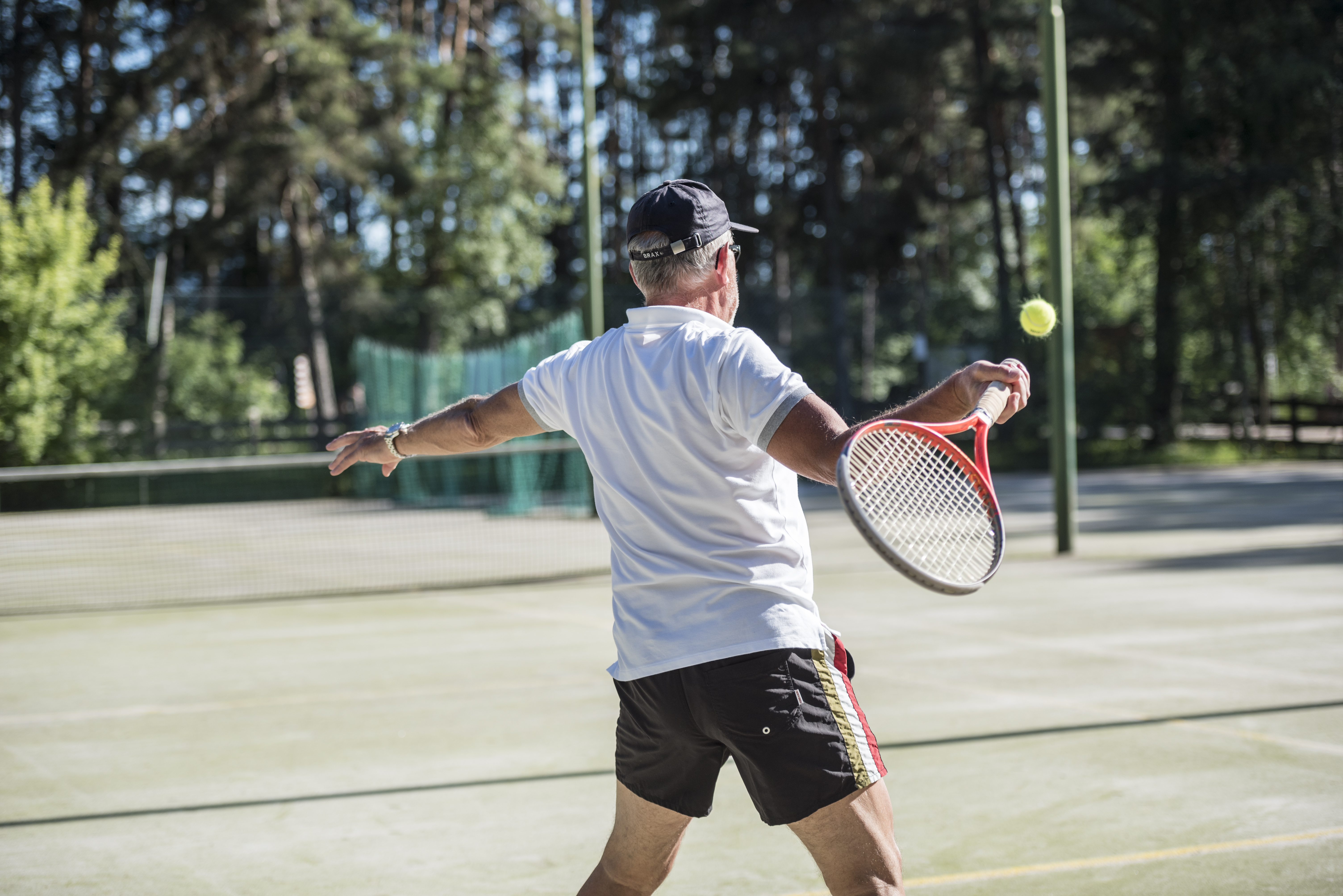 Unterkunft: Hotel Waldsee