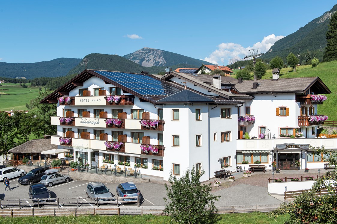 Unterkunft: Sommeransicht - Hotel Alpenroyal