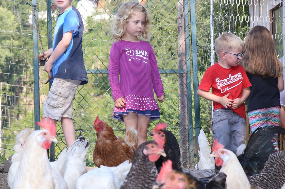 Unterkunft: Die Kinder bei unseren Hühnern - Pardellerhof